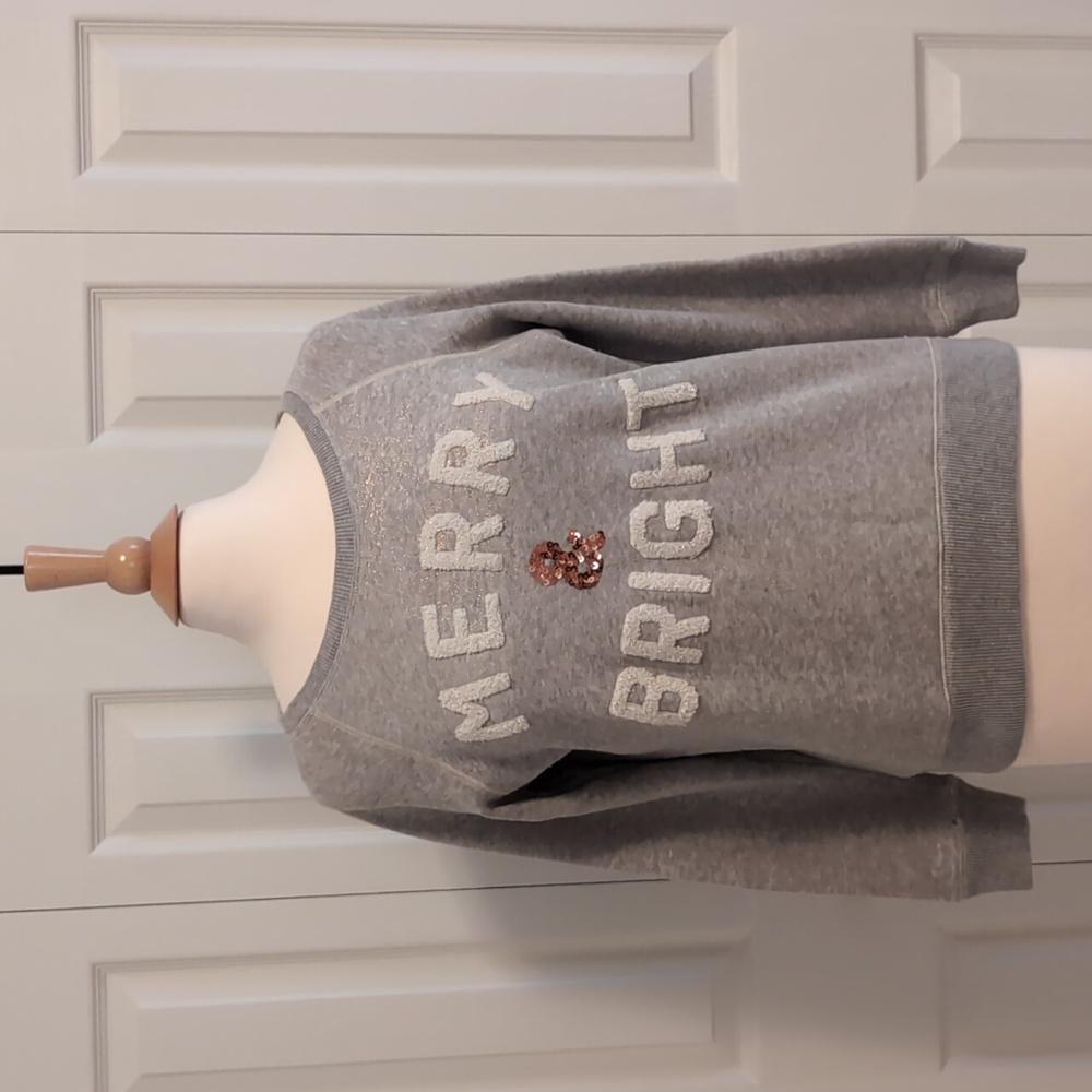 American Eagle Outfitters Holiday Sweatshirt